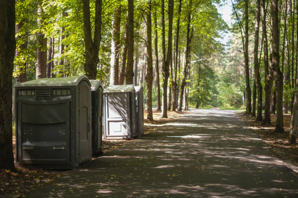 Best Best portable toilet rental  in White Mountain Lake, AZ